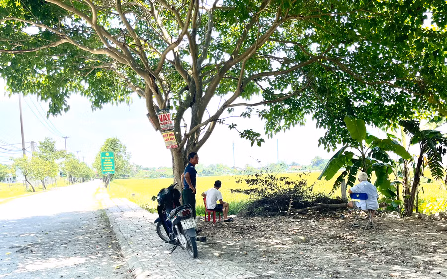 Mất điện trong thời điểm nắng nóng đạt đỉnh, người dân vùng ven đô Thạch Hạ (TP Hà Tĩnh) đổ ra những khu vực có bóng mát để nghỉ ngơi.