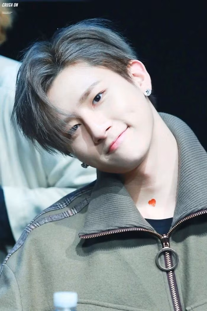 Tiết lộ ý nghĩa nghệ danh của các ngôi sao K-pop ảnh 2