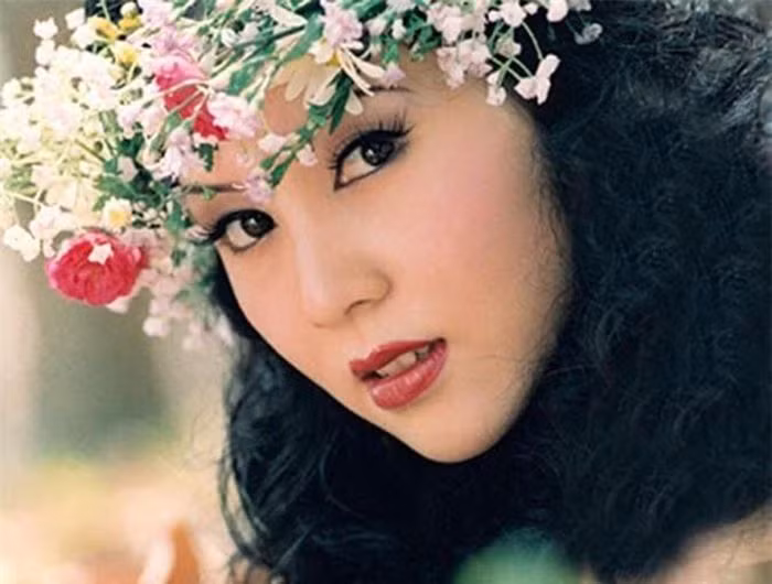Tháng 3/2009, sau 17 năm “ở ẩn”, nữ diễn viên xinh đẹp “tái xuất giang hồ” trong dự án điện ảnh “Tây Sơn hào kiệt” của NSND Lý Huỳnh. Sự trở lại của Mộng Vân nhận được sự ủng hộ nhiệt tình của người hâm mộ.