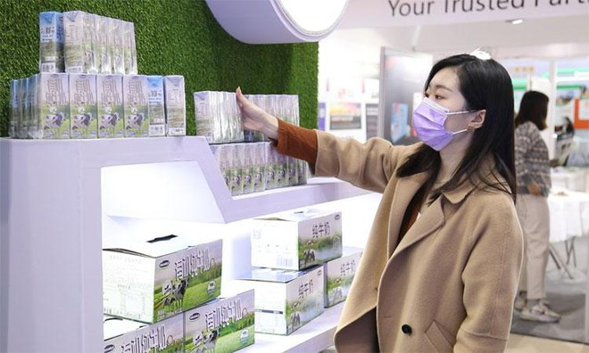 Vinamilk xuất khẩu sữa tươi Organic đi Trung Quốc ảnh 3 Vinamilk xuất khẩu sữa tươi Organic đi Trung Quốc, ra mắt ấn tượng tốt tại Triển lãm quốc tế Thượng Hải 2021 ảnh 3
