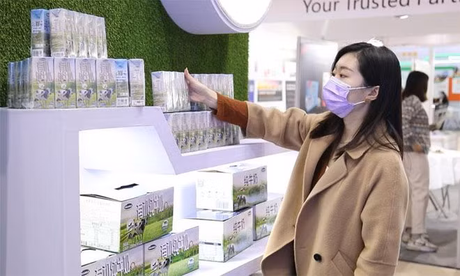 Vinamilk xuất khẩu sữa tươi Organic đi Trung Quốc, ra mắt ấn tượng tốt tại Triển lãm quốc tế Thượng Hải 2021 ảnh 3