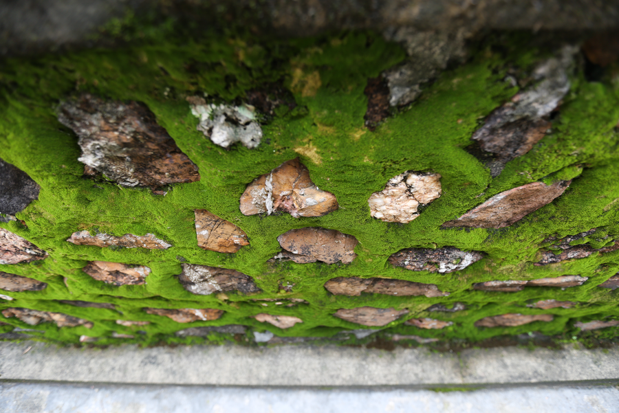 Những dấu vết thời gian lưu lại trên công trình.