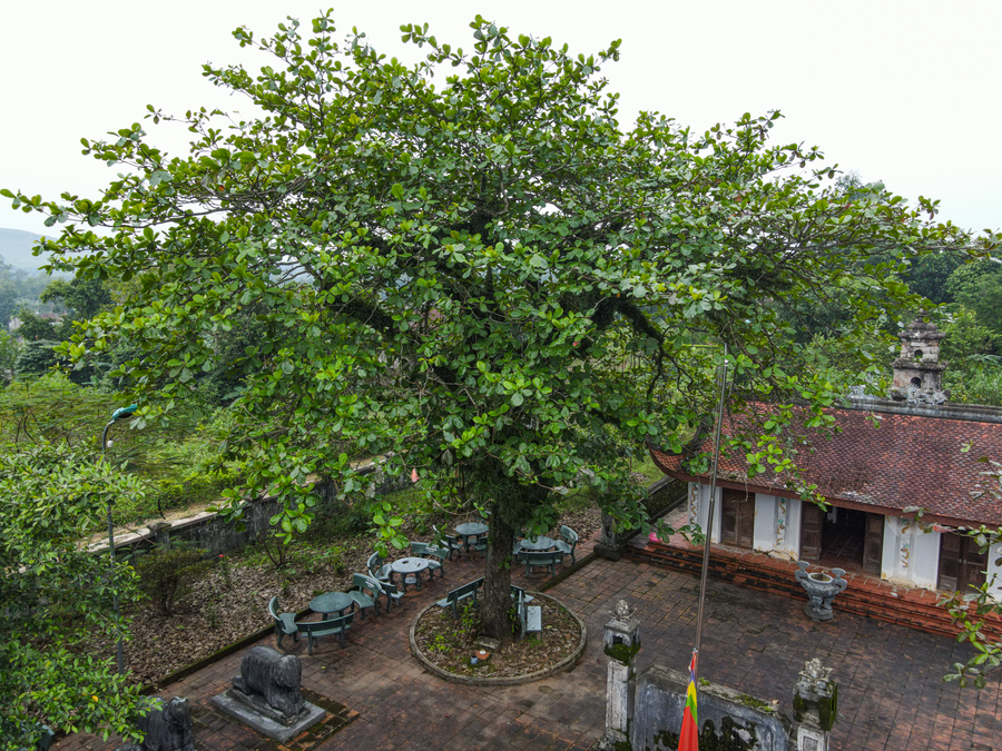 Am Tháp xây dựng để thờ Lê Am - một vị quan có nhiều công lao phục vụ triều đình, được Lê Lợi ban đặc ân chọn sinh phần (chọn đất an táng khi còn sống).