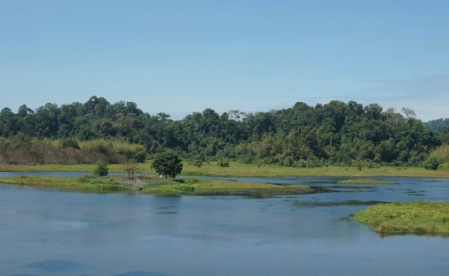 VQG Cát Tiên có 3.000 ha đất ngập nước ở giữa rừng tự nhiên, sinh cảnh của loài cá sấu nước ngọt. Ảnh: Nam Sơn. VQG Cát Tiên có 3.000 ha đất ngập nước ở giữa rừng tự nhiên, sinh cảnh của loài cá sấu nước ngọt. Ảnh: Nam Sơn.