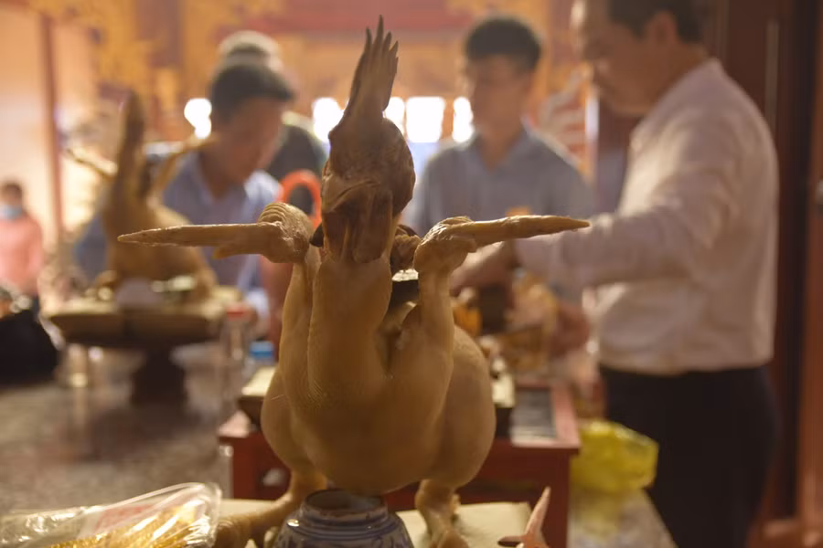 Theo những người kinh nghiệm cho biết, gà được chọn tạo dáng phải là giống gà tốt, trọng lượng từ 4kg trở lên. Các loại gà dai thịt, giòn da thường được ưu tiên. Không chọn gà non vì quá trình luộc tạo dáng mất nhiều thời gian sẽ làm gà bị nứt, mất thẩm mỹ.