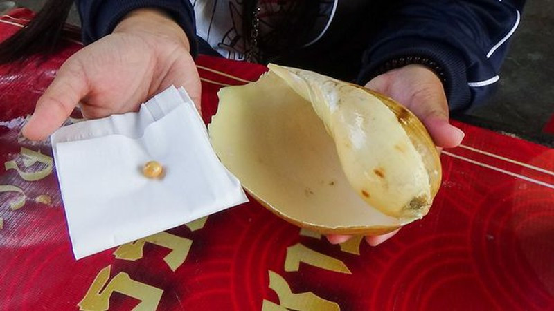 Đi ăn tối, cô gái vô tình phát hiện báu vật trong vỏ ốc - ảnh 1