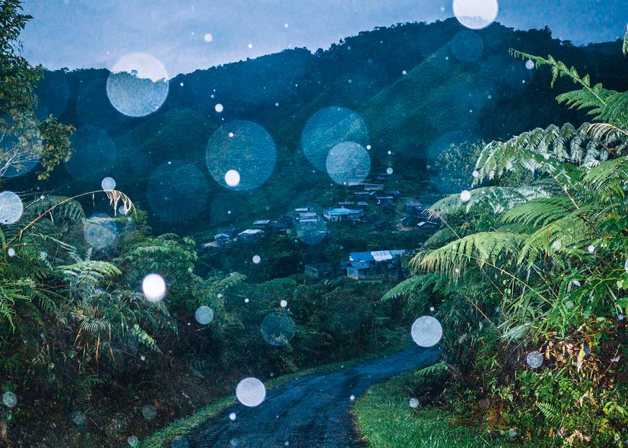 Tác phẩm tại triển lãm.