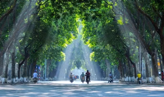 Một nét đẹp khi Hà Nội vào tiết giao mùa.