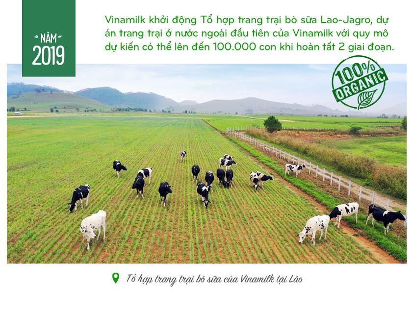 Vinamilk: 15 năm xây hệ thống trang trại bò sữa với "bộ sưu tập" tiêu chuẩn quốc tế - Ảnh 7. Vinamilk: 15 năm xây hệ thống trang trại bò sữa với "bộ sưu tập" tiêu chuẩn quốc tế - Ảnh 7.