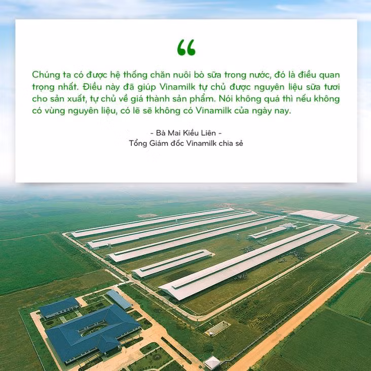 Vinamilk: 15 năm xây hệ thống trang trại bò sữa với "bộ sưu tập" tiêu chuẩn quốc tế - Ảnh 1.
