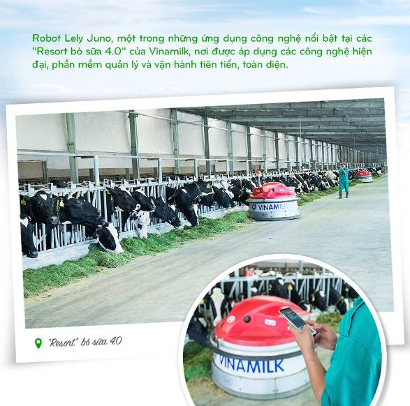 Vinamilk: 15 năm xây hệ thống trang trại bò sữa với "bộ sưu tập" tiêu chuẩn quốc tế - Ảnh 8. Vinamilk: 15 năm xây hệ thống trang trại bò sữa với "bộ sưu tập" tiêu chuẩn quốc tế - Ảnh 8.