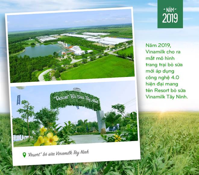 Vinamilk: 15 năm xây hệ thống trang trại bò sữa với "bộ sưu tập" tiêu chuẩn quốc tế - Ảnh 6. Vinamilk: 15 năm xây hệ thống trang trại bò sữa với "bộ sưu tập" tiêu chuẩn quốc tế - Ảnh 6.