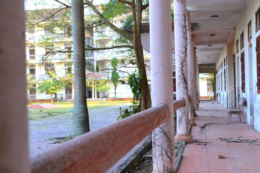 Bò "đi dạo" trong ngôi trường hơn chục tỷ bỏ hoang ở Hà Tĩnh ảnh 6