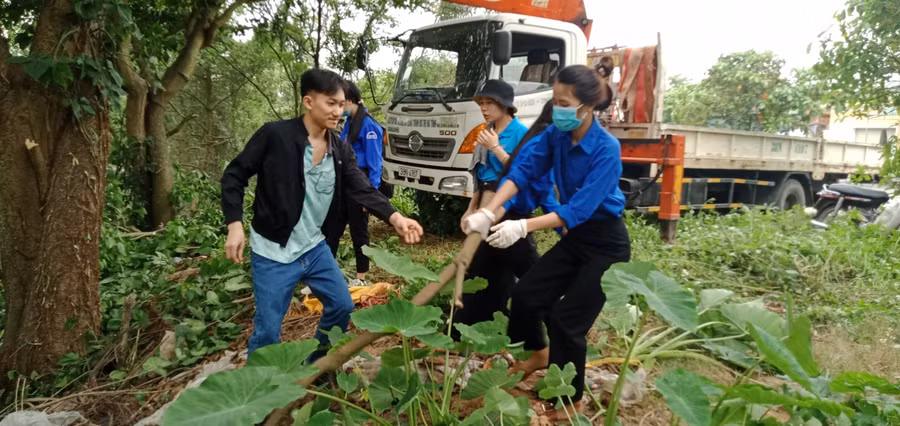 Phát quang bụi rậm... xung quanh tuyến đê tả Phủ