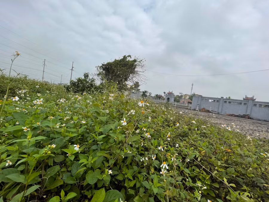 Oái ăm hơn, đến nay Văn Miếu vẫn chưa có đường chính để dẫn vào do thiếu kinh phí.