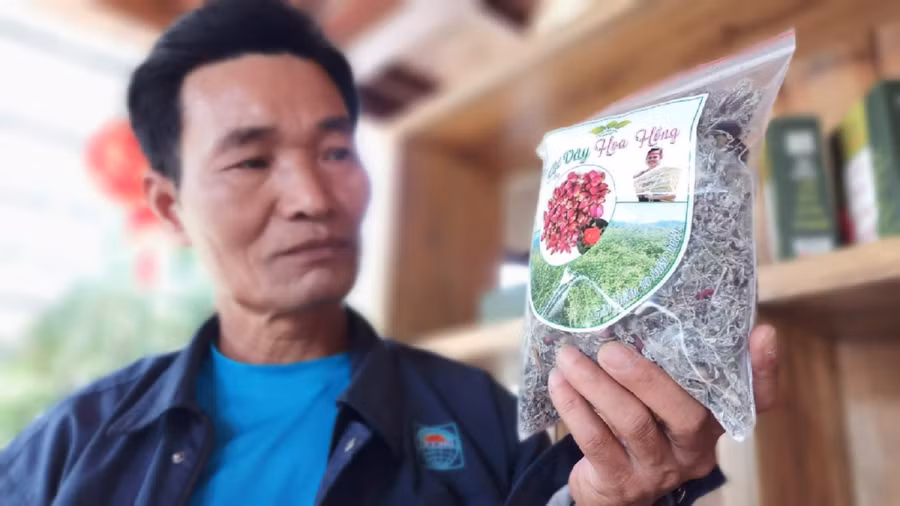 Trà hoa hồng Panan - sản phẩm mới được ông Phòng kết hợp từ hoa hồng và chè dây có công dụng làm đẹp da, tế tạo tế bào da chống lão hóa…