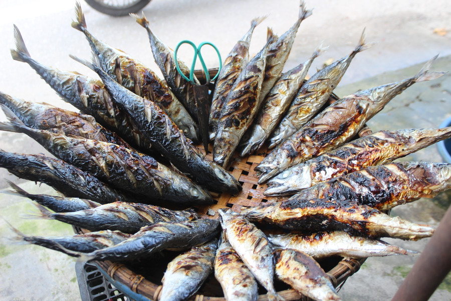 Những mẻ cá thành phẩm. Những mẻ cá thành phẩm.