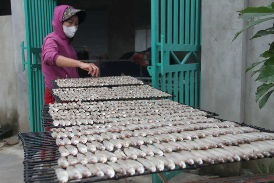Muốn có sản phẩm cá nướng ngon, người dân phải luôn lựa chọn nguyên liệu tươi và bảo quản tốt. Muốn có sản phẩm cá nướng ngon, người dân phải luôn lựa chọn nguyên liệu tươi và bảo quản tốt.