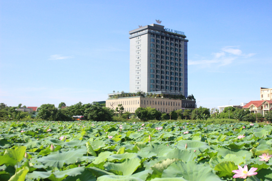 Khu đầm khoảng 2ha trồng sen của ông Đại với nhiều chủng loại như: sen cao sản, sen chuyên củ, sen tứ thời... Khu đầm khoảng 2ha trồng sen của ông Đại với nhiều chủng loại như: sen cao sản, sen chuyên củ, sen tứ thời...