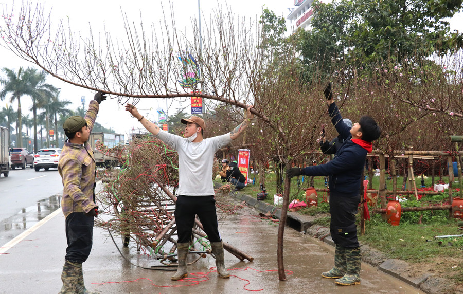 Xuất hiện tại thị trường Hà Tĩnh chỉ vài năm, nhưng đào huyền nhanh chóng được nhiều người ưu chuộng vì giá cả phải chăng và thế hoa đẹp, dễ trưng bày trong nhà. Xuất hiện tại thị trường Hà Tĩnh chỉ vài năm, nhưng đào huyền nhanh chóng được nhiều người ưu chuộng vì giá cả phải chăng và thế hoa đẹp, dễ trưng bày trong nhà.
