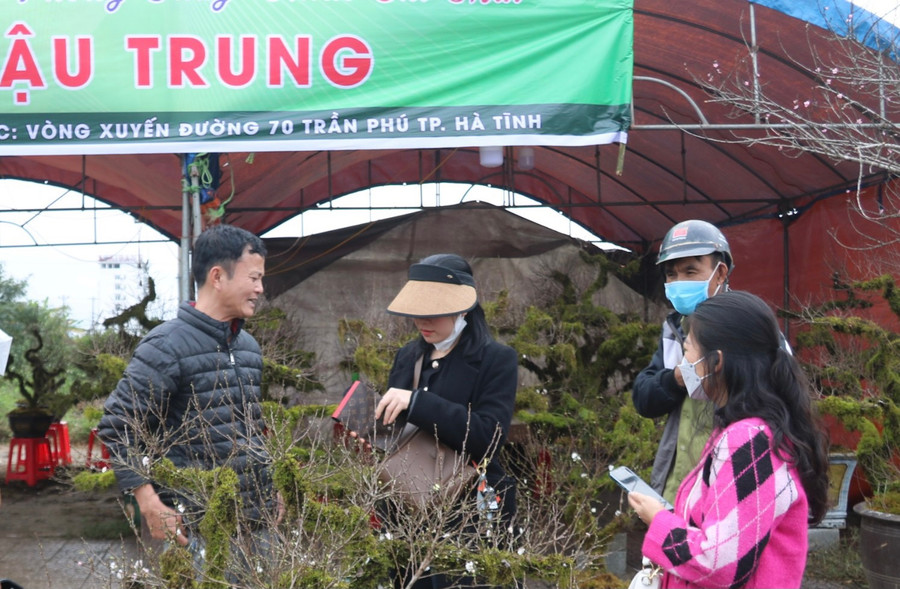 Dù nhất chi mai có giá khá cao nhưng với vẻ đẹp độc đáo và ý nghĩa, nhiều "thượng đế" vẫn sẵn sàng chi tiền để đặt loại cây này trong nhà vào dịp Tết với hy vọng đón may mắn, cầu sức khỏe và tài lộc cho gia đình. Dù nhất chi mai có giá khá cao nhưng với vẻ đẹp độc đáo và ý nghĩa, nhiều "thượng đế" vẫn sẵn sàng chi tiền để đặt loại cây này trong nhà vào dịp Tết với hy vọng đón may mắn, cầu sức khỏe và tài lộc cho gia đình.