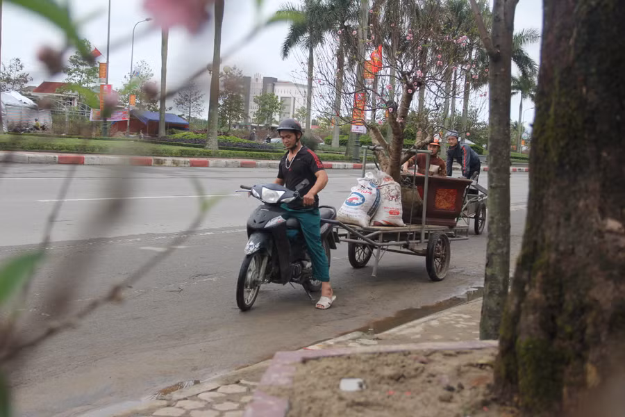 Với quãng đường dưới 3km, giá dịch vụ chở cây cảnh thuê dao động từ 150.000 đồng - 300.000 đồng/ chuyến. (Ảnh: Phương Hồ).