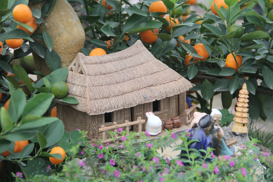 Các chậu quất được tạo thế đẹp, ghép trên những thân gỗ lũa, bình cổ, hòn non bộ hay những mái nhà cổ. (Ảnh Phương Hồ).