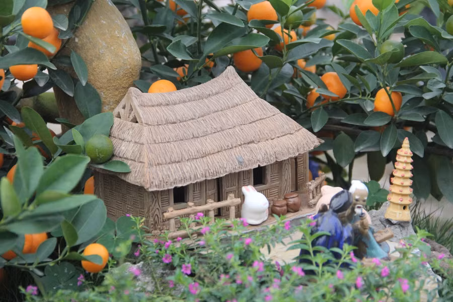 Các chậu quất được tạo thế đẹp, ghép trên những thân gỗ lũa, bình cổ, hòn non bộ hay những mái nhà cổ. (Ảnh Phương Hồ).