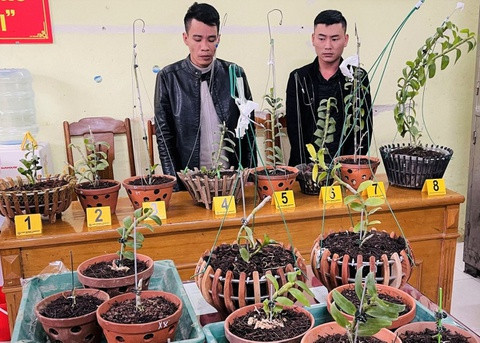 Thắng và Hùng cùng tang vật. Ảnh: Zing.vn