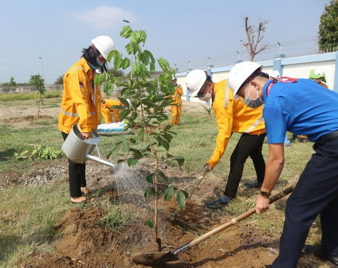 KĐN tiếp tục Chương trình trồng cây năm 2021 tại Bà Rịa ảnh 2 KĐN tiếp tục Chương trình trồng cây năm 2021 tại Bà Rịa - ảnh 2
