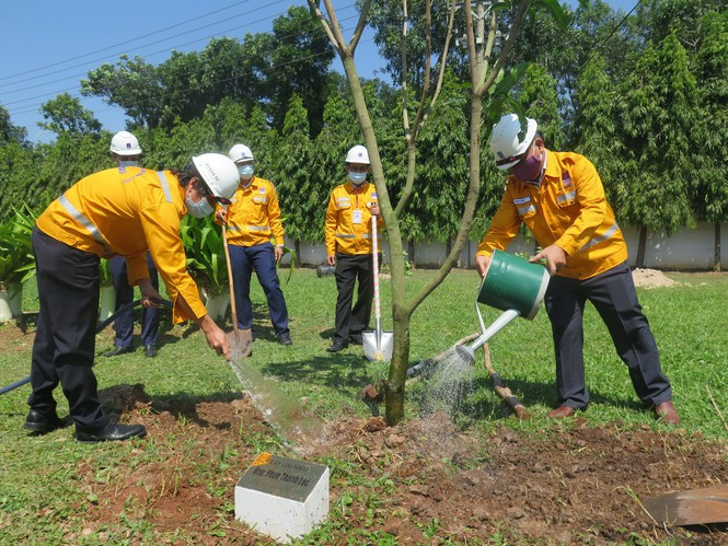 KĐN: Chung tay vì màu xanh trên công trình khí ảnh 1 KĐN: Chung tay vì màu xanh trên công trình khí - ảnh 2