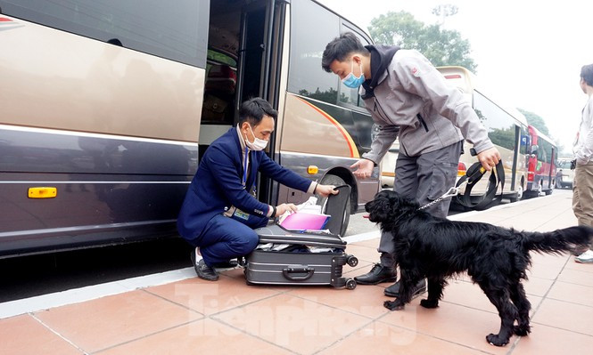 Cảnh khuyển tham gia rà soát xe phục vụ Đại hội XIII ảnh 4 Cảnh khuyển tham gia rà soát xe phục vụ Đại hội - ảnh 4