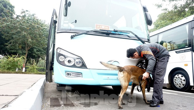 Cảnh khuyển tham gia rà soát xe phục vụ Đại hội XIII ảnh 7 Cảnh khuyển tham gia rà soát xe phục vụ Đại hội - ảnh 7