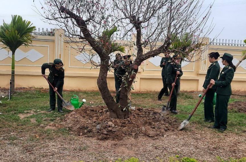 BĐBP Thái Bình tổ chức trồng cây tại khuôn viên đơn vị vào ngày 27/1. BĐBP Thái Bình tổ chức trồng cây tại khuôn viên đơn vị vào ngày 27/1.