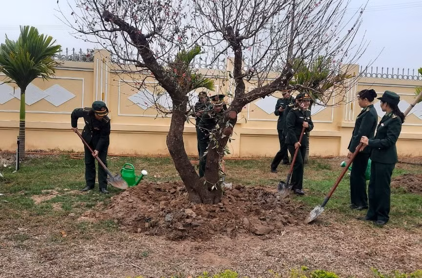 BĐBP Thái Bình tổ chức trồng cây tại khuôn viên đơn vị vào ngày 27/1.