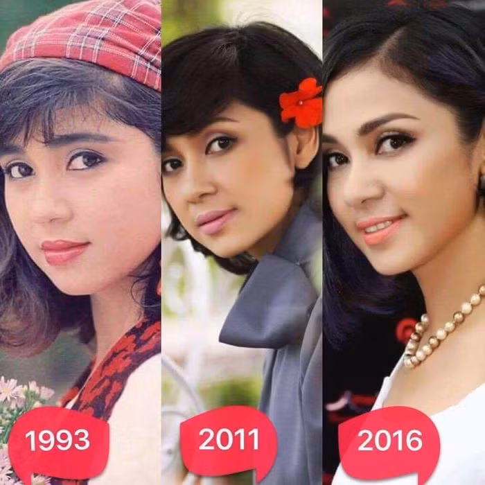 Xấp xỉ tuổi 50 vẫn trẻ đẹp, Việt Trinh tuyên bố độc thân suốt đời ảnh 2