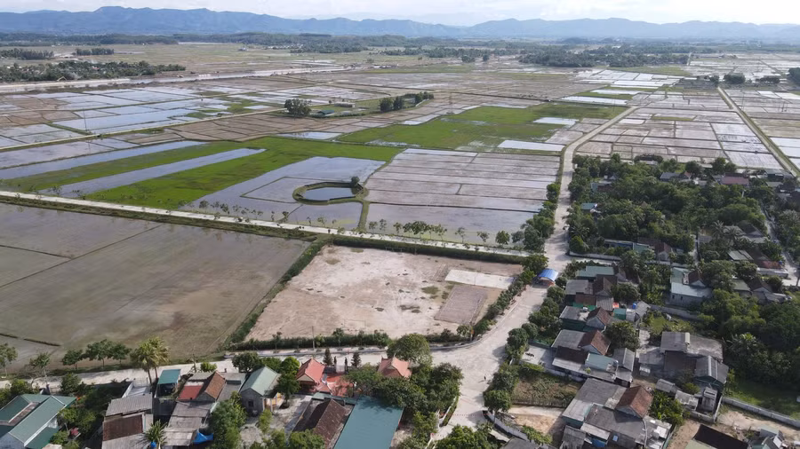 Thôn Trung Tiến hiện có 140 hecta diện tích lúa Hè Thu. Đến thời điểm này, cả thôn chỉ mới gieo cấy được hơn 100 hecta thì có lệnh phong tỏa.