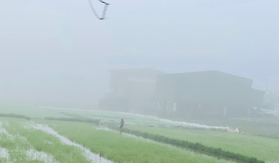 Dù sương mù dày đặc nhưng từ sáng sớm, người nông dân vùng ven đô đã ra đồng gieo cấy vụ Xuân Hè.