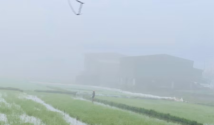 Dù sương mù dày đặc nhưng từ sáng sớm, người nông dân vùng ven đô đã ra đồng gieo cấy vụ Xuân Hè.