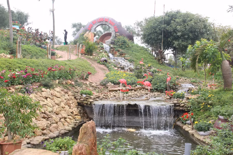 Giới trẻ Hà Tĩnh thích thú lên núi du xuân ngày đầu năm ảnh 7