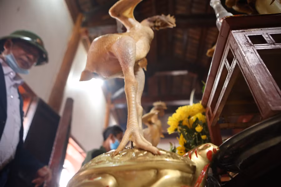 Ngoài các lễ vật như hương vàng, giấy áo, hoa quả... mỗi gia đình đều có một cỗ gà luộc được đặt trên bánh giầy