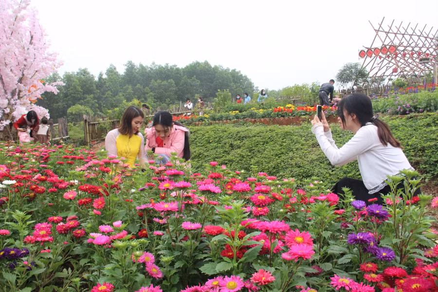 Giới trẻ Hà Tĩnh thích thú lên núi du xuân ngày đầu năm