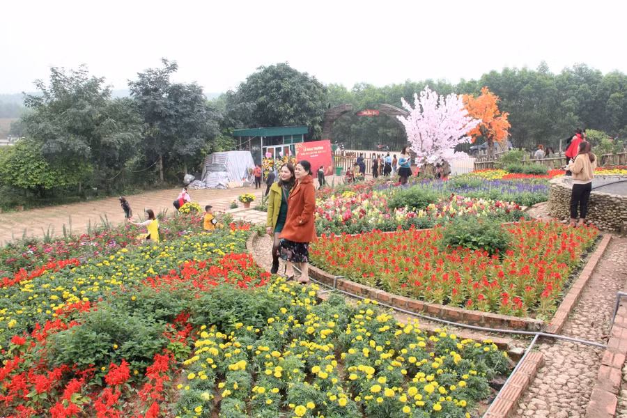 Toàn bộ khu sinh thái được chủ nhân trồng hàng chục loại hoa tạo cảnh quan sinh động và bắt mắt