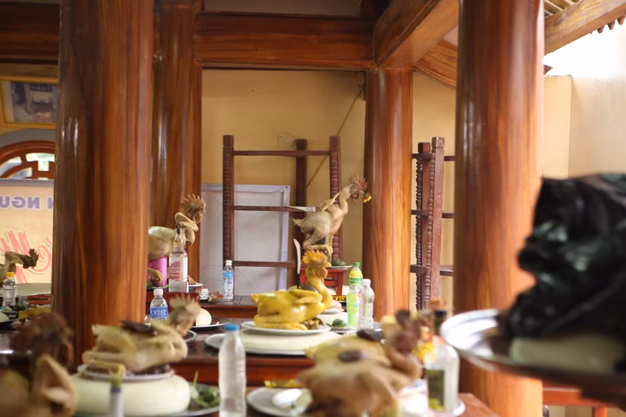 Còn tại dòng họ Nguyễn Xuân (thôn Bình An) năm nay có hơn 40 con gà đủ các thế được tế lễ tại nhà thờ họ.