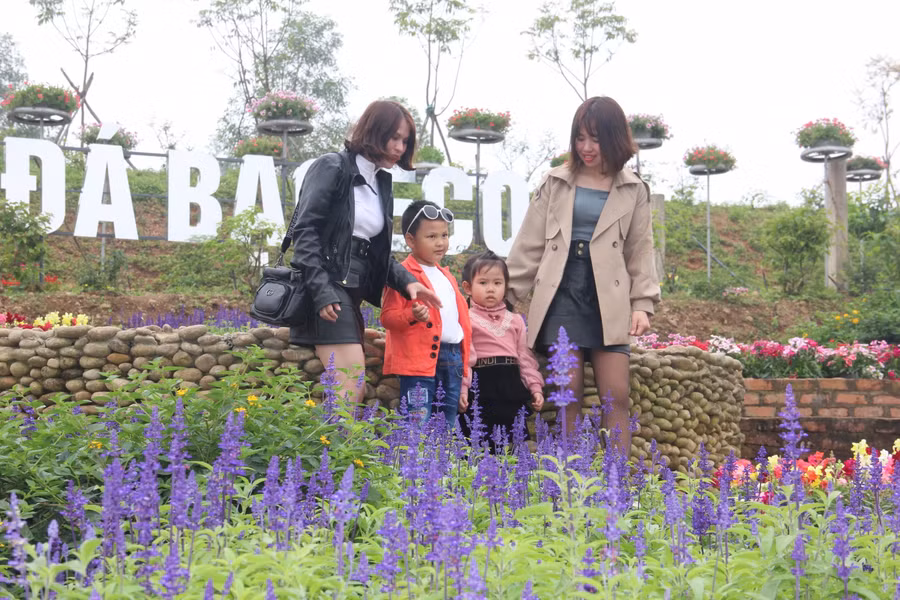 Khu sinh thái này có diện tích gần 5ha. Ngoài 4ha trồng cây ăn quả, thì trên diện tích khoảng hơn 1ha còn lại được đầu tư xây dựng nhiều hạng mục như: vườn hoa, quảng trường, hầm rượu, bể bơi, nhà ăn, homestay…