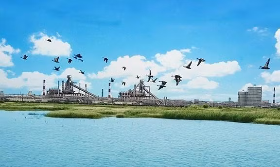 Nỗ lực bảo vệ môi trường của Formosa: Đến trường học cũng muốn trải nghiệm