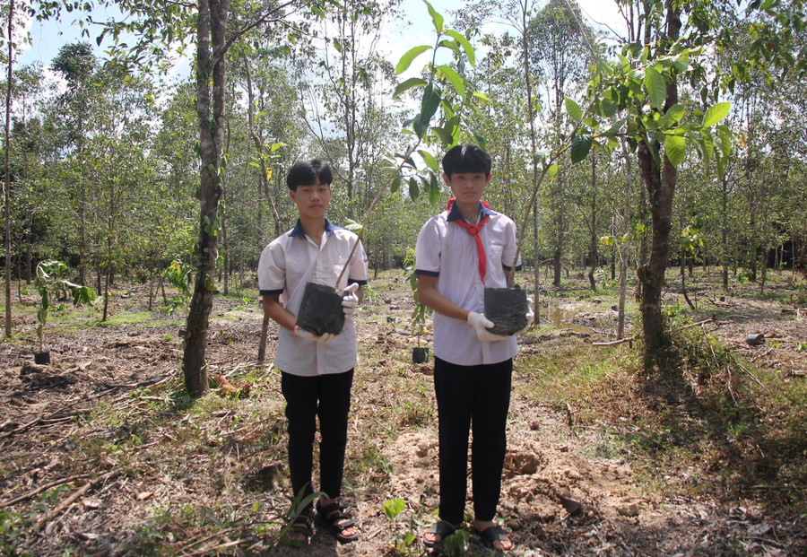 Học sinh Trường THCS Mã Đà tích cực trồng cây xanh hướng ứng Ngày Bảo tồn thiên nhiên thế giới. Học sinh Trường THCS Mã Đà tích cực trồng cây xanh hướng ứng Ngày Bảo tồn thiên nhiên thế giới.