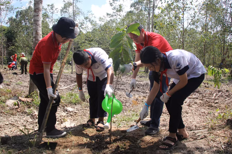 Mỗi cây xanh đều được kỳ vọng cho một Việt Nam khỏe mạnh, tươi xanh.