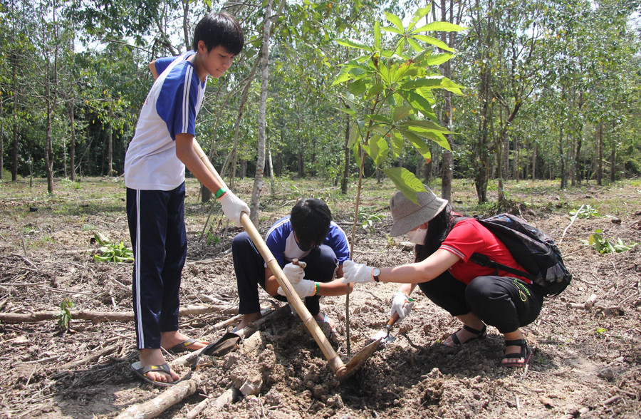 Việc phủ xanh rừng đặc dụng đầu nguồn sẽ góp phần tăng khả năng ứng phó với biến đổi khí hậu, giảm thiệt hại do bão lũ. Việc phủ xanh rừng đặc dụng đầu nguồn sẽ góp phần tăng khả năng ứng phó với biến đổi khí hậu, giảm thiệt hại do bão lũ.