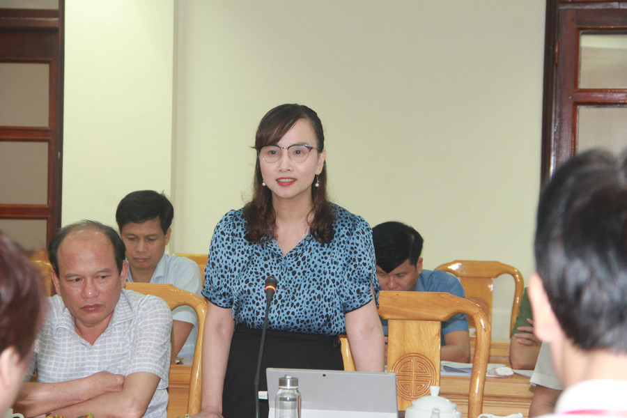 Bà Đặng Thị Quỳnh Diệp, Giám đốc Sở GD&ĐT Hà Tĩnh phát biểu tại buổi làm việc.